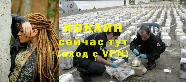 не бодяженный Алексин