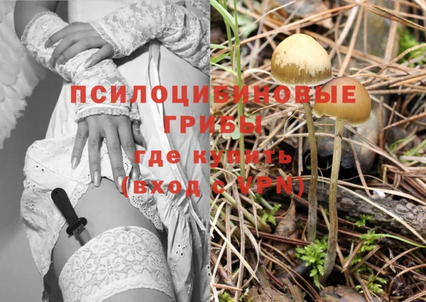 каннабис Алексеевка