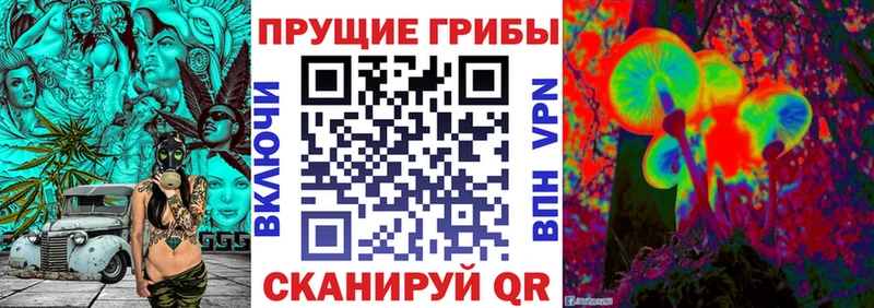 закладки  Владивосток  Псилоцибиновые грибы Magic Shrooms 